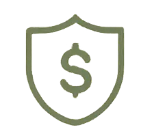 CFO & Advisory Icon